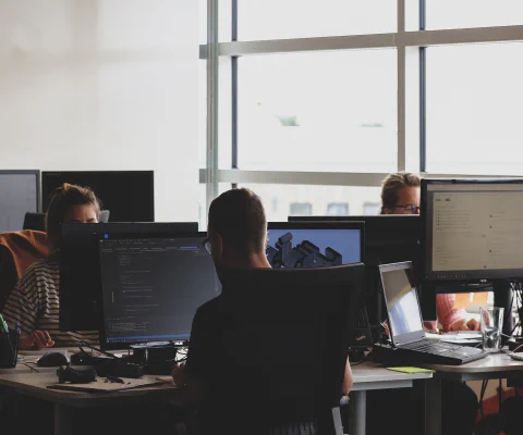Team of Developers